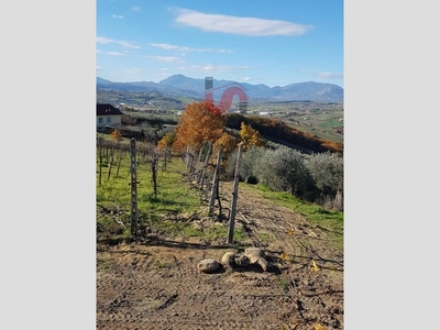 Terreno agricolo in Vendita a Benevento, 27'000€, 16500 m²