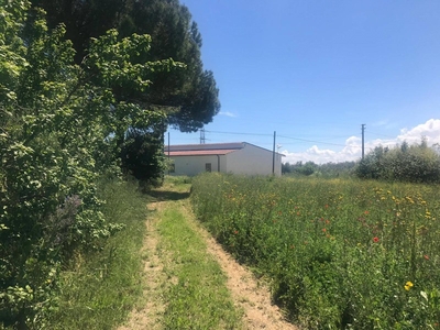 Terreno agricolo in Vendita a Benevento, zona CONTRADE, 23'000€, 9280 m²