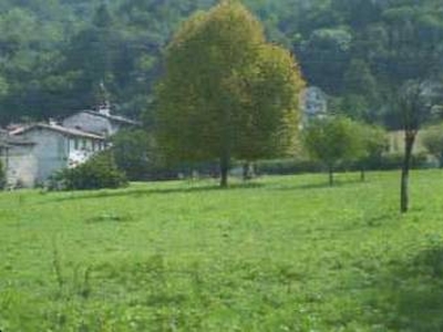 Terreno agricolo in Vendita a Castelnovo del Friuli