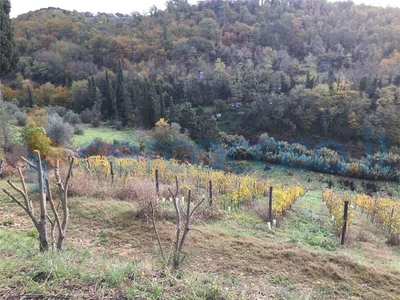 Terreno agricolo in vendita in Via Mura 2, San Casciano In Val Di Pesa