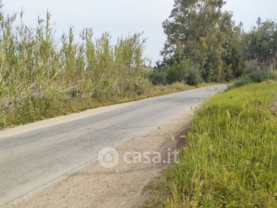 Terreno edificabile in Vendita in Strada Provinciale 63bis a Partinico