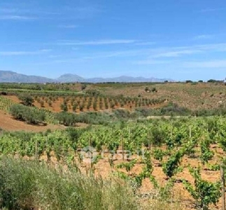 Terreno edificabile in Vendita in Strada senza nome a Partinico