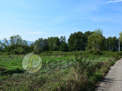 Terreno Edificabile Residenziale in vendita a Pignataro Interamna