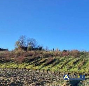 Terreno in vendita a San Miniato