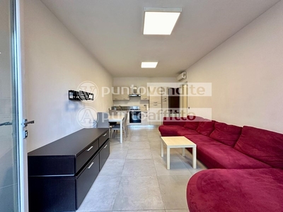 Trilocale in Affitto a Lucca, zona San Concordio Contrada, 700€, 65 m², arredato