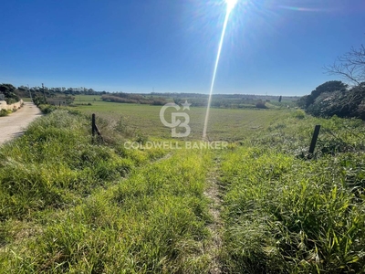 Terreno agricolo in vendita a Siracusa