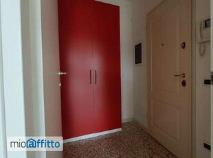 Appartamento arredato con terrazzo Centro