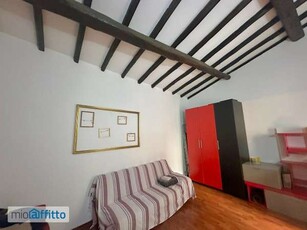 Appartamento arredato con terrazzo Viterbo