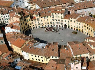 Attività / Licenza in affitto a Lucca