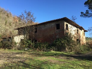 Rustico con giardino a Castelfiorentino