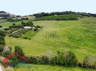 Terreno agricolo di 119390 mq a Potenza Picena