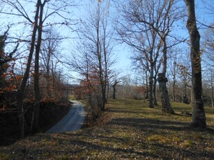 terreno agricolo in vendita a Caianello