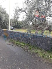 Terreno agricolo in vendita a Paterno'