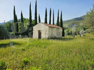 terreno agricolo in vendita a Praia a Mare