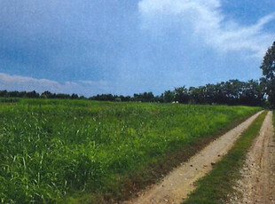 terreno agricolo in vendita a San Giovanni Lupatoto