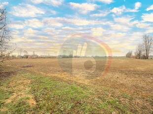 terreno agricolo in vendita a Vigodarzere