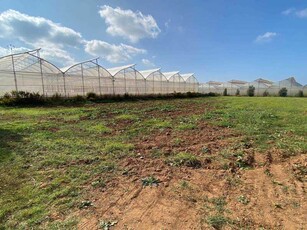 Terreno agricolo in Vendita ad Rosignano Marittimo - 20000 Euro