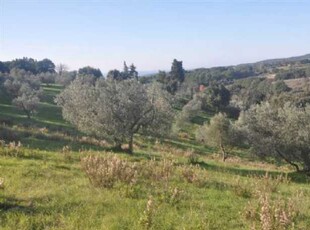 Terreno agricolo in Vendita ad Rosignano Marittimo - 30000 Euro