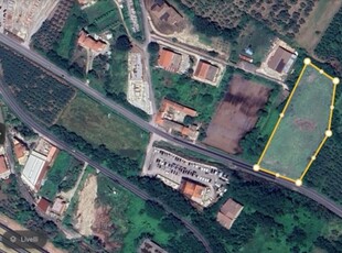 terreno residenziale in vendita a Calvi Risorta