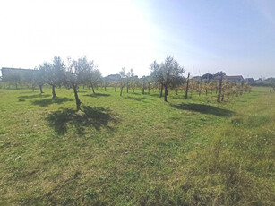 terreno residenziale in vendita a Castiglione del Lago