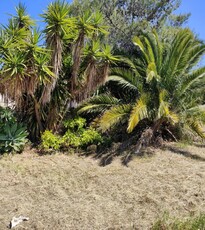 villa indipendente in vendita a Siracusa