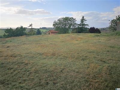 Terreno residenziale in buono stato di 2000 mq.