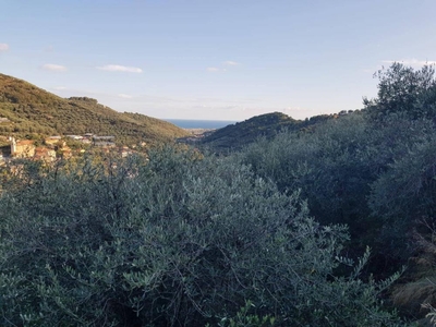 casa in vendita a Diano borello