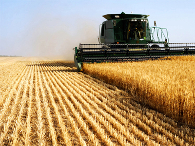 Terreno Agricolo in vendita a Correzzola