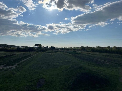 Terreno Agricolo con Capannone in Vendita a Montescudaio