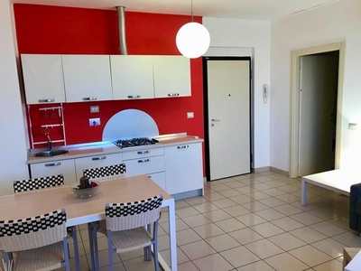 Bilocale in Affitto a Pisa, zona Calambrone, 650€, 45 m², arredato