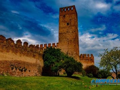 Palazzo/Stabile in Vendita a Montagnana