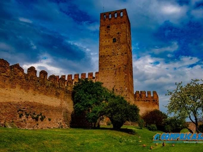 Palazzo - Stabile in Vendita a Montagnana