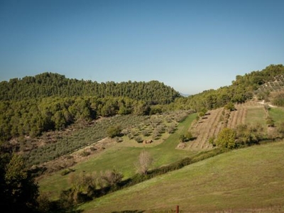 Terreno agricolo in vendita a Spoleto