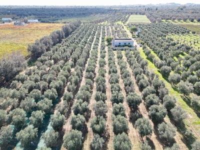 Rustico in Contrada Santa Cecilia, Oria, 2 locali, 45000 m² in vendita