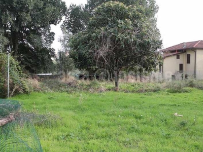 Terreno in Vendita ad Massa - 49916 Euro