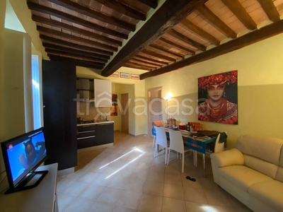 Appartamento in in vendita da privato a Lajatico via Giovanni Topi, 5