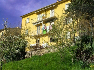 Appartamento in in vendita da privato a Siena via Goito, 9