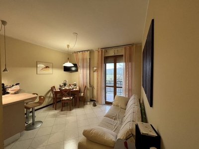 Appartamento in vendita a Siena isola d'Arbia