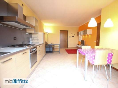 Appartamento arredato con terrazzo Marola