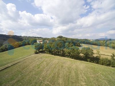 Azienda agricola in vendita a Chiusdino