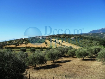 Terreno agricolo di 10800 mq a Campli