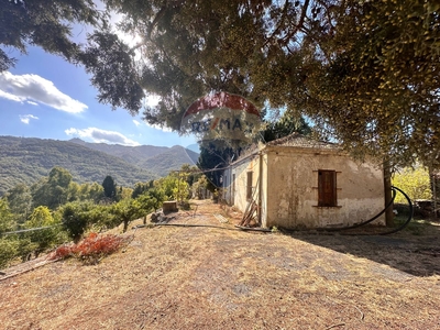 Terreno agricolo di 27350 mq a Casalvecchio Siculo