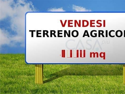 Terreno agricolo di 45000 mq a Monsampolo del Tronto