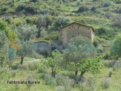 Terreno agricolo in vendita in Via Ligonia Carella 20, Marina Di Gioiosa Ionica