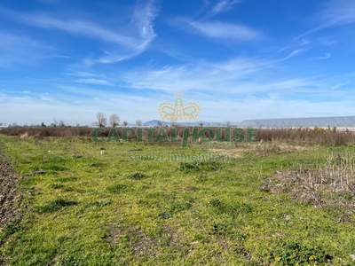 Terreno in vendita a San Tammaro