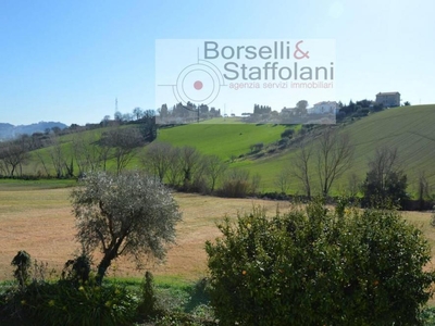 terreno agricolo in vendita a Osimo