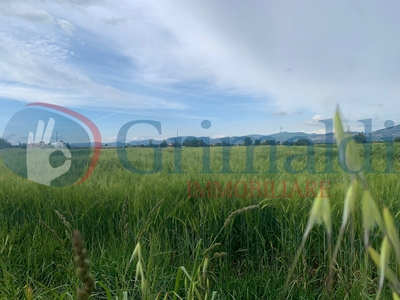 Terreno Agricolo in vendita a Bettona