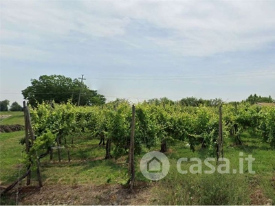 Terreno agricolo in Vendita in Via Cesare Battisti a Oderzo