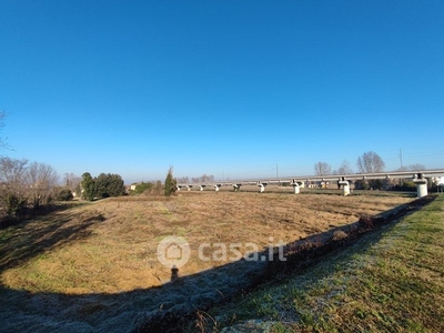 Terreno agricolo in Vendita in Via Per Stellata a Bondeno