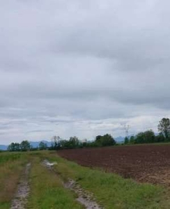Terreno agricolo in Vendita in Via Santa Maria a Lestizza